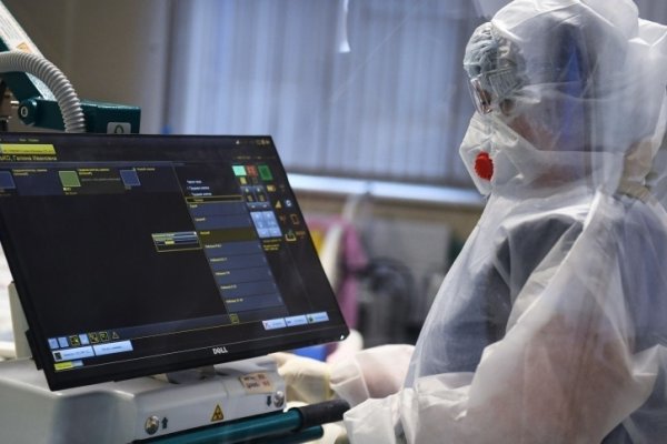 Kraken зеркало официальный