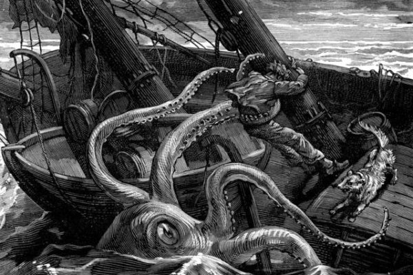 Kraken ltd