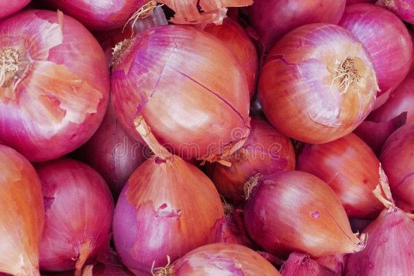 Kraken istand onion