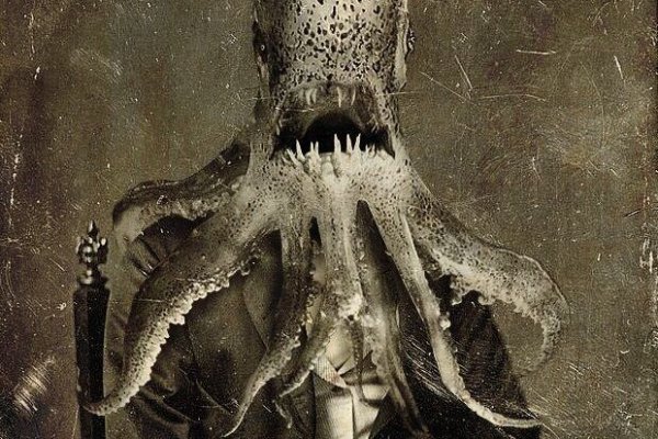 Ссылка на кракен krakens13 at
